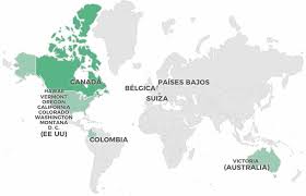 Euthanasia is not legal in the country. Que Paises Han Legalizado La Muerte Asistida Dmd