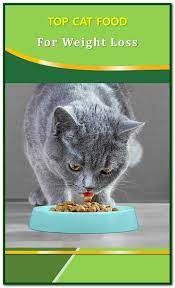Pin On Cat Food