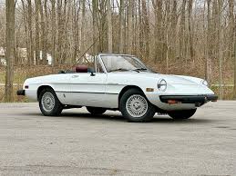 Image result for Gray 1980 Alfa-Romeo