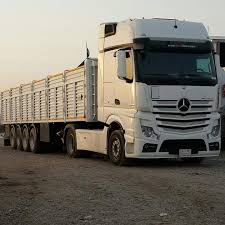 Epingle Par Nuevos Ferrocarriles Argentino Sur Mercedes Benz Actros And Arocs