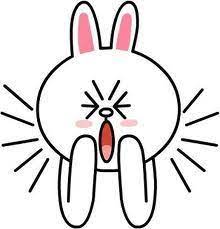 皇品科技有限公司 huang ping funny expressions funny cartoons line friends