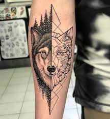 Pin On Lobos