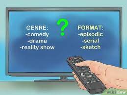 3 Ways To Make Your Own Tv Show - Wikihow
