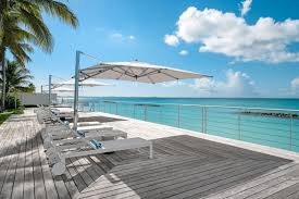 Image result for Salacia