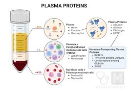Plasma Protein - An Overview | Sciencedirect Topics