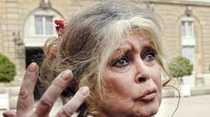 Brigitte Bardot, 91 ans, hospitalisée depuis trois semaines en France : son  état jugé préoccupant