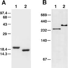 Jump to navigationjump to search. Rj5qu3jakhr9rm