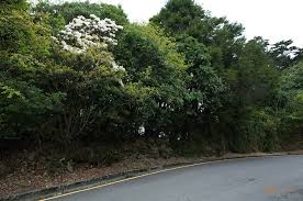 Free download of cinde 0.95b. Karopi The Hills Are Like Shouts Of Children Who Raise Their Arms Trying To Catch Stars 9 é 