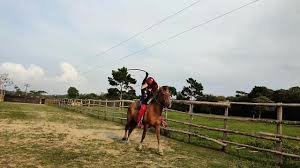 Ghrfan OnlyFans - The Goddess Walking for the Ride