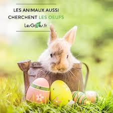 Certaines cartes sont disponibles avec animations Joyeuse Paques A Tous Joyeusepaques Carte De Paques Jolies Cartes Virtuelles Gratuites Image Paques