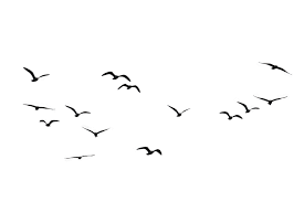 Birds Flying Sillhouette Flying Bird Drawing Flying Bird Silhouette Fly Drawing