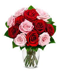 Abstract pink rose hd pics full for pc. A Dozen Red Pink Roses At From You Flowers