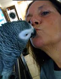 Prayers for 7 month old Grape