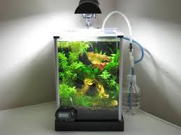 Onenobee 2 Gallon Your Tanks Aquatic Decor Planted Aquarium Aquatic Garden
