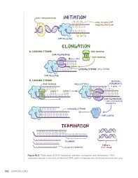 نتیجه جستجوی لغت [replication] در گوگل