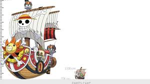 One Piece: The Thousand Sunny, Explained