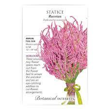 Pin On Cut Flower Seeds