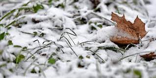 Im verlauf des tages kommt aber die sonne in den meisten regionen durch und bleibt auch für einige zeit. Schnee Und Glatte Strassen Hoch Burckhard Bringt Winter Nach Brandenburg