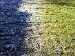 Teaching you how much to water your lawn every week. 5 Crucial Tips For Winter Lawn Care In Atlanta Lawnstarter