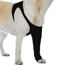*breathable and elastic pet sterilization surgery recovery clothes is suitable for your cat or kitten. Cone Of Shame Alternatives Baxterboo