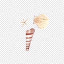 Check spelling or type a new query. Seashell Sea Snail Conch Shell Conch Painted Hand Solid Geometry Png Pngwing
