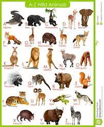 Chart Of A To Z Animals Stock Vector Image Animal Pictures For Kids Wild Animals List List Of Animals