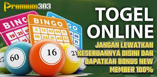 Gitar togel sd - 05.02.2024