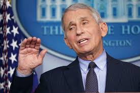 Donald trump retweeted a video of dr. Fauci At His First Biden Briefing I Took No Pleasure In Contradicting Trump On Covid