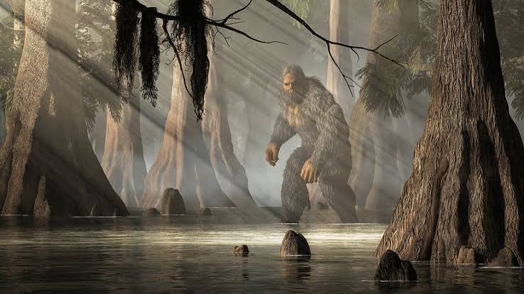 Honey Island Swamp Monster: A Towering Cryptid Draped in Mystery |  HowStuffWorks