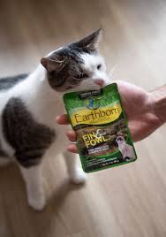 earthborn holistic moist pouch dinners for cats grain free cat food holistic cat food wet cat food