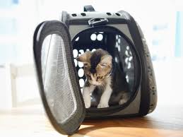 See further below for our recommendations, including carriers that are crash test certified. How To Crate Train Your Cat