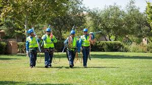 Maybe you would like to learn more about one of these? Bradenton Fl Landscape Services