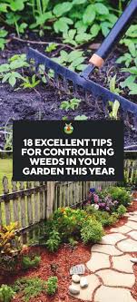 5 tips to eliminate weeds forever. 18 Most Effective Ways For Controlling Weeds In Your Garden Or Lawn