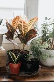 Grow light spectrum refers to the electromagnetic wavelengths of light produced by a light source to promote plant growth. 12 Led Grow Lights To Help Your Indoor Plants Thrive Even In The Winter In 2021 Led Grow Lights Indoor Plants Grow Lights