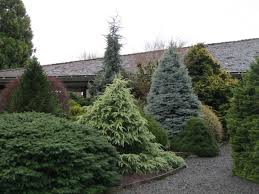 Tangle Town Gardens Design Trip To Portland Conifers Garden Garden Design Amazing Gardens