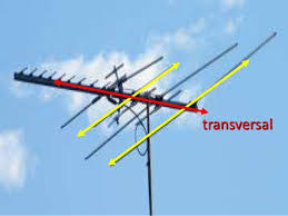 Formally, alternate interior angles are two interior angles which lie on different parallel lines and on. Dictionary Assignment Projects And Assignments