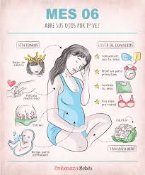 3 dart, llc para babycenter. Sexto Mes De Embarazo Mes 6 Embarazo Divertido Seguimiento De Embarazo Etapas Embarazo