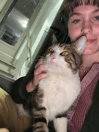 Abandoned Puppies Care and Feeding in West St. Paul