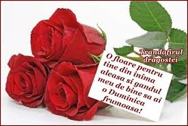 Https Www Facebook Com Trandafiruldrag Photos T 100002962257045 494559184050989 Type 3 Flower Frame Flower Letters Rose