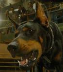We won't share this comment without your permission. El Diablo Voice Beverly Hills Chihuahua Movie Behind The Voice Actors