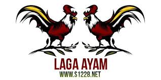 Sabung Ayam Online S1288 Permainan Laga Adu Ayam Indonesia