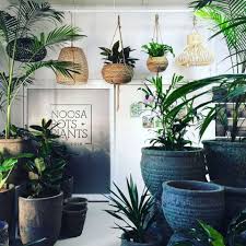 Brookfield gardens encompasses the nursery, the greenhouse, the gift shop, the potting shed, the bistro and the kitchen garden. Landing Noosa Pots Plants Be Inspired