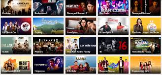 As there is an immense vault of shows online to confuse you, we've made a list of 9 best indian web watching this cleverly scripted show will create the illusion that you're witnessing your own family in action. Best 8 Sony Liv Web Series For The Lockdown Binge Watch Sessions