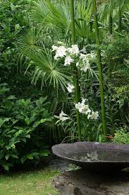 September 2016 Garden Chic Tropical Garden Design Tropical Garden Water Features In The Garden