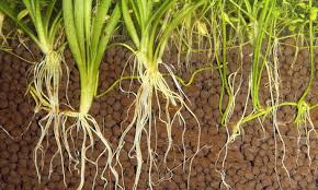Avec les plantes artificielles, pas besoin de substrat et pas besoin d'entretien. Substrat De Sol