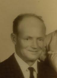 Cows in the pasture with a curious grandson