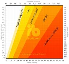 Bmi Height Weight Chart Ibodz Online Personal Trainer