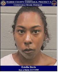 Mark Herman, Harris County Constable Precinct 4