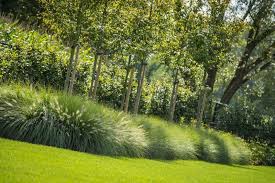 landelijke tuin met siergras google zoeken tuin hovenieren tuin ideeen