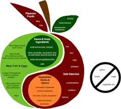 The Phd Food Plate Perfect Health Diet Perfect Health Diet